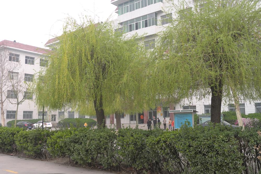 保定育德中等專業(yè)學校有哪些招生要求? 保定育德中等專業(yè)學校有哪些招生要求?