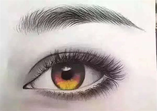 ɽںW(xu)O(sh)ӋӖ(xn)W(xu)Уʲôn