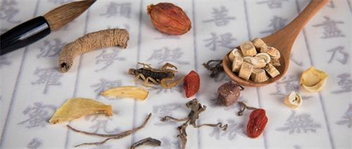 石家莊工商職業(yè)學(xué)院護(hù)理學(xué)院怎么樣?值得報考嗎? 石家莊工商職業(yè)學(xué)院護(hù)理學(xué)院怎么樣?值得報考嗎?