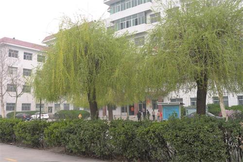 保定育德中等專業(yè)學(xué)校怎么樣? 保定育德中等專業(yè)學(xué)校怎么樣?