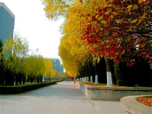 北京現(xiàn)代航空乘務(wù)學(xué)院有哪些優(yōu)勢(shì)條件? 北京現(xiàn)代航空乘務(wù)學(xué)院有哪些優(yōu)勢(shì)條件?