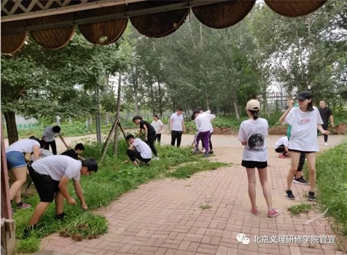 北京文理研修學(xué)院夏令營之——芝心園生態(tài)農(nóng)場 北京文理研修學(xué)院夏令營之——芝心園生態(tài)農(nóng)場