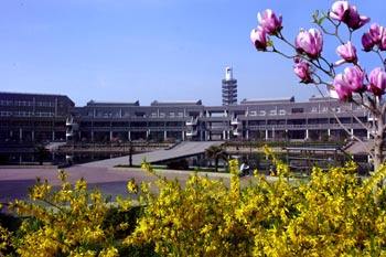 學習網(wǎng)站建設(shè)與管理專業(yè)有哪些發(fā)展方向? 學習網(wǎng)站建設(shè)與管理專業(yè)有哪些發(fā)展方向?