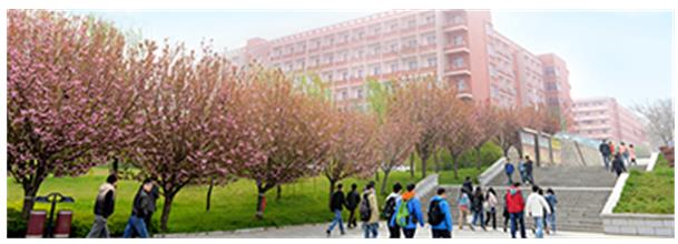 西安工程大學(xué)繼續(xù)教育學(xué)院是正規(guī)學(xué)校嗎? 西安工程大學(xué)繼續(xù)教育學(xué)院是正規(guī)學(xué)校嗎?