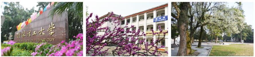 桂林理工大學繼續(xù)教育學院航空乘務(wù)培養(yǎng)項目有哪些專業(yè)? 桂林理工大學繼續(xù)教育學院航空乘務(wù)培養(yǎng)項目有哪些專業(yè)?